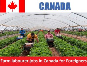 Farm labourer jobs in Canada for Foreigners