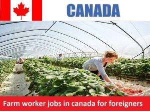 Farm worker jobs in canada for foreigners