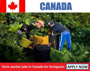 Farm worker jobs in canada for foreigners