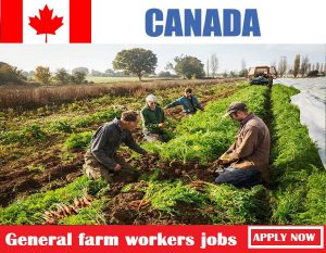 General farm workers jobs in canada