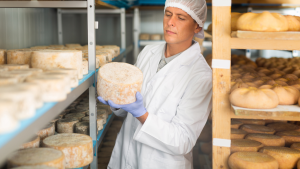 Cheese maker helper jobs in Canada for foreigners