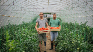 General farm worker jobs in Canada for foreigners